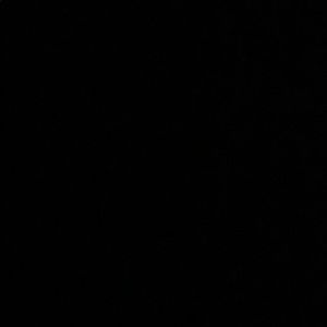 Meet your Posher, Tamara